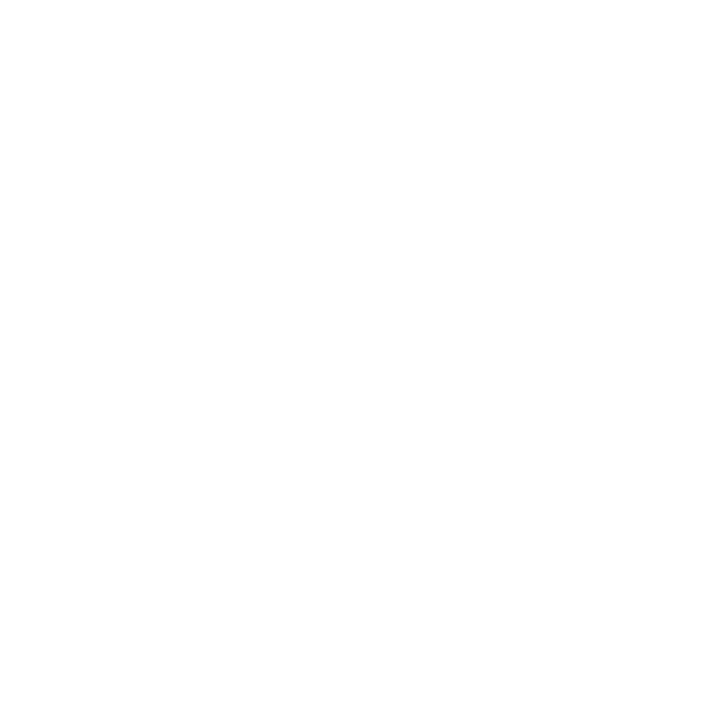 Download AnyDesk